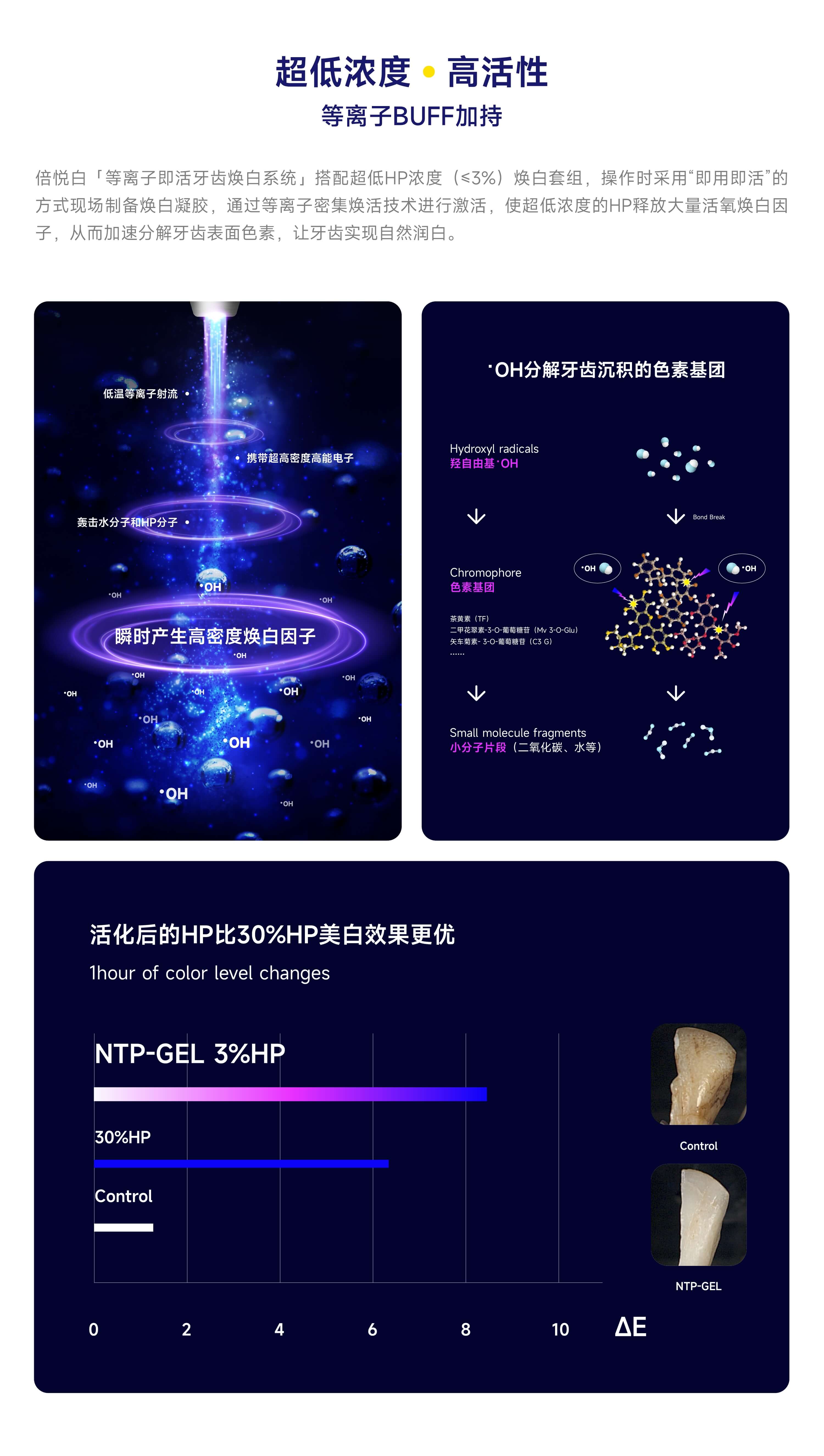 官网合集-04-2.jpg