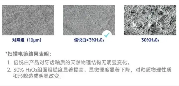 72740432.webp 4.webp