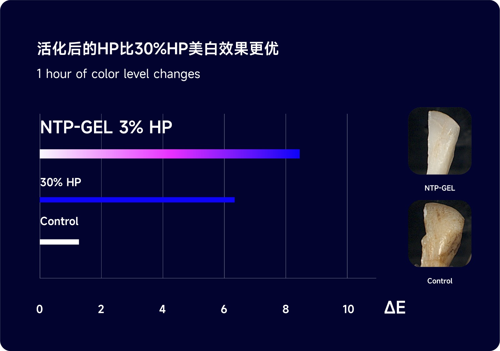 12677703.jpg 页面_画板 1 副本 3.jpg