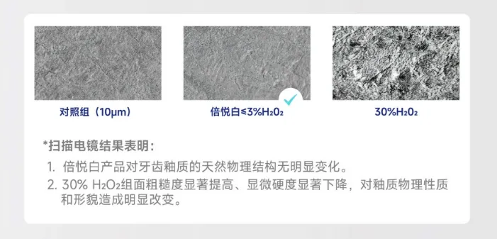 4.webp